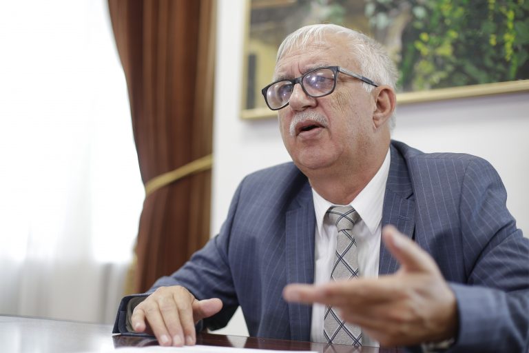 Ce spune un fost șef al CCR despre invalidarea candidaturii lui Șoșoacă