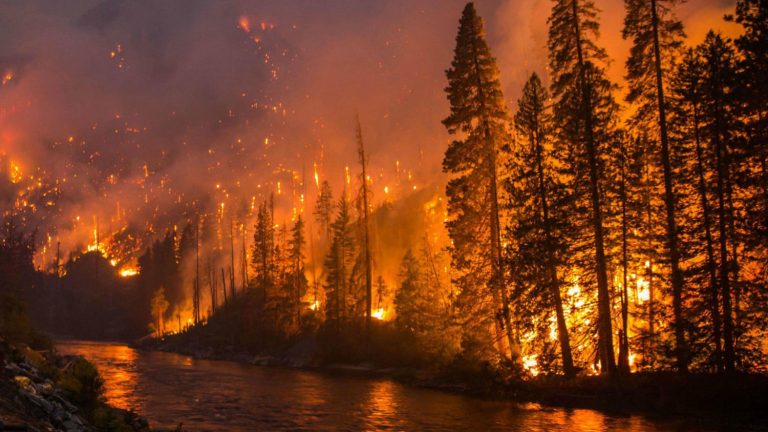 Sursele de oxigen ale Planetei ard, cu efecte devastatoare