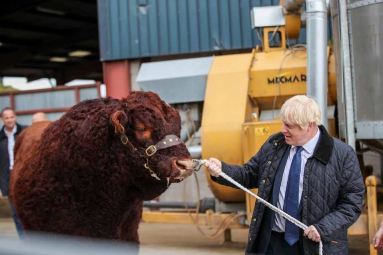 Premierul irlandez: Demisia lui Boris Johnson, o oportunitate
