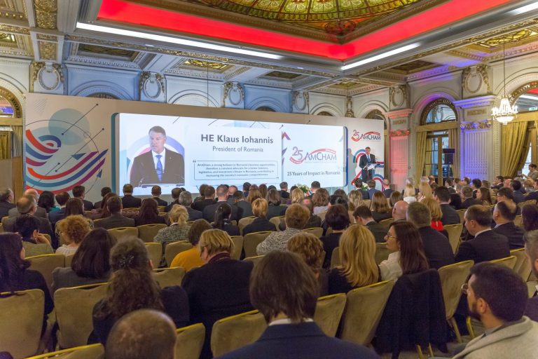 AmCham România: Ordonanţa 114 conduce în topul îngrijorărilor membrilor noştri