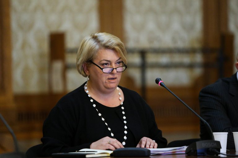 Doina Gradea, audiată la Cameră pentru abaterile descoperite de Curtea de Conturi