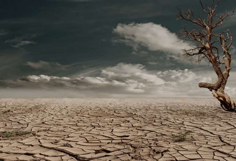 Clima se schimbă în mod accelerat și periculos – studiu