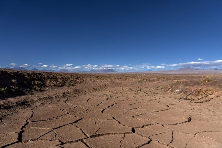 Apocalipsa climatică: Sudul Europei și câmpia americană vor deveni deșert
