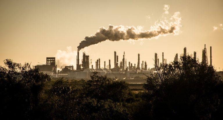 Kiwi trees, tornadoes and 20C in December: How global warming is affecting Romania.