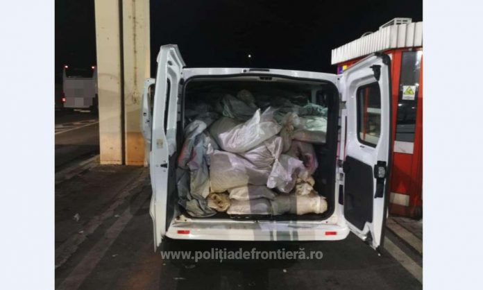 Un sârb a încercat să intre în România cu 750 de kilograme de canabis