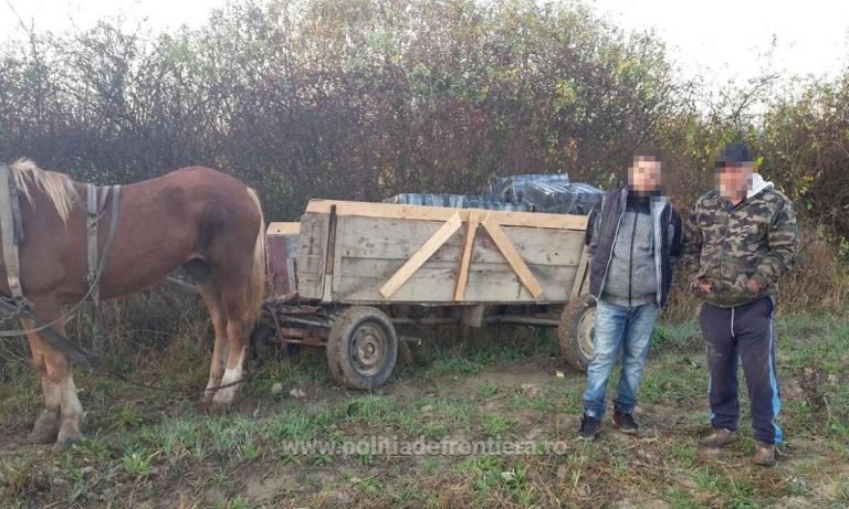Contrabandiști cu căruța, prinși la granița dintre România cu Ucraina