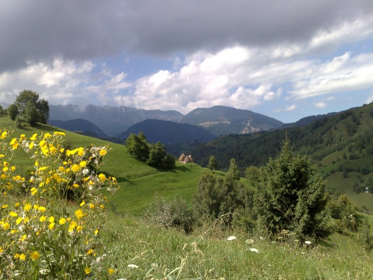 O maratonistă la un concurs montan a murit în Piatra Craiului. A decedat şi un bărbat care încerca să o salveze