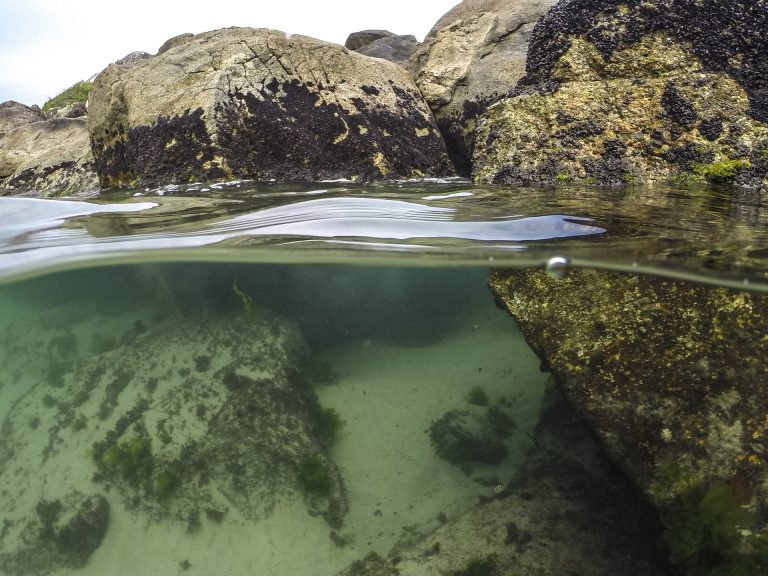 Alarmă ecologică în Brazilia. Peste 100 de plaje sunt vizate