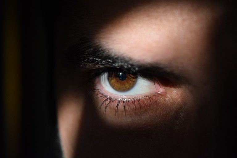 Serviciile secrete din Cehia anunță: O rețea rusă de spionaj, complet „distrusă și decimată”