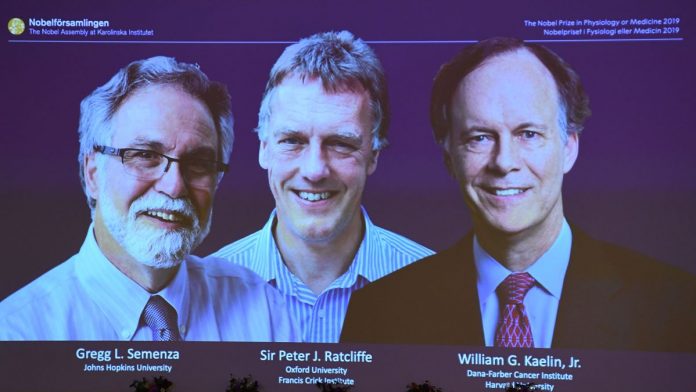 Cercetătorii William G. Kaelin Jr, Sir Peter J. Ratcliffe şi Gregg L. Semenza au câştigat premiul Nobel pentru Medicină