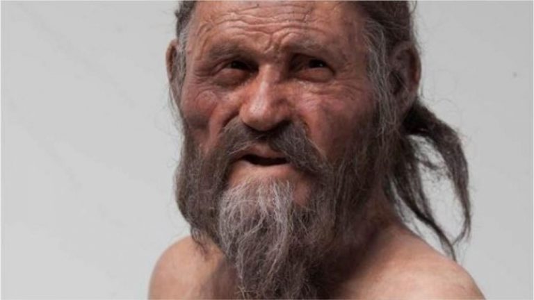 Noi indicii despre Otzi, bărbatul de 5.300 de ani din Alpi