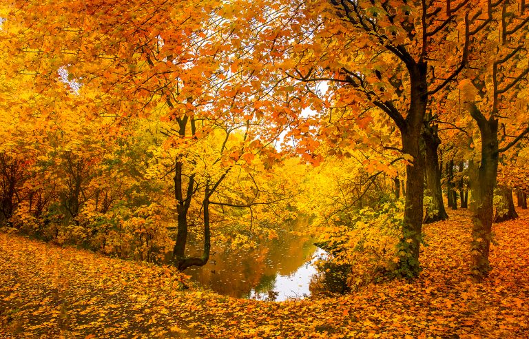 Temperaturi de până la 28 de grade în acest weekend