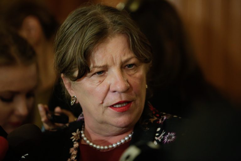 Alegeri prezidențiale 2019. Norica Nicolai cere BEC publicarea rezultatelor provizorii