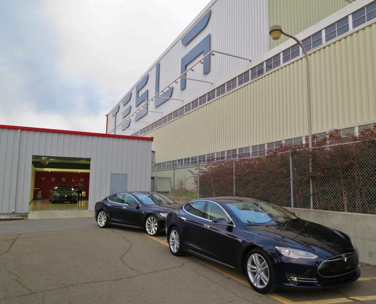 Tesla, criticată de ecologiștii din Germania. De la ce a pornit scandalul
