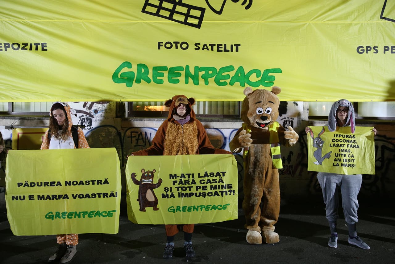 Thousands In Romania Protest Illegal Logging And Deaths Of Forest