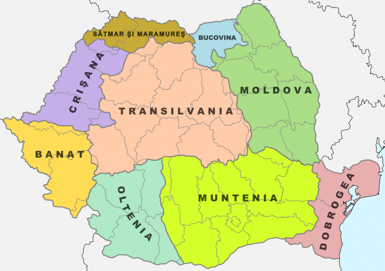 Alegeri prezidențiale 2019. Cum au votat românii în fiecare regiune istorică. Unde a prins Dan Barna locul 2