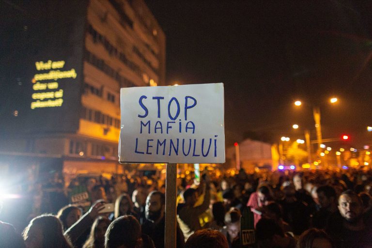 USR vrea să înființeze DNA-ul pădurilor