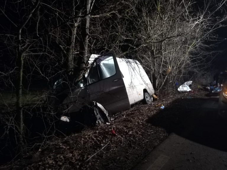 Doi morți și șapte răniți după ce un microbuz a intrat în copaci