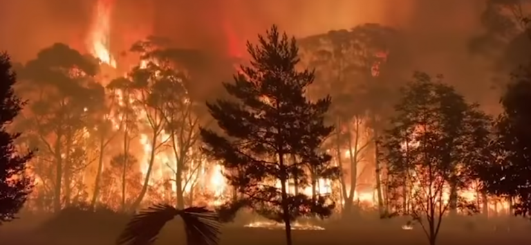 VIDEO. Imagini apocaliptice cu incendiile din Australia. Doi pompieri, morți