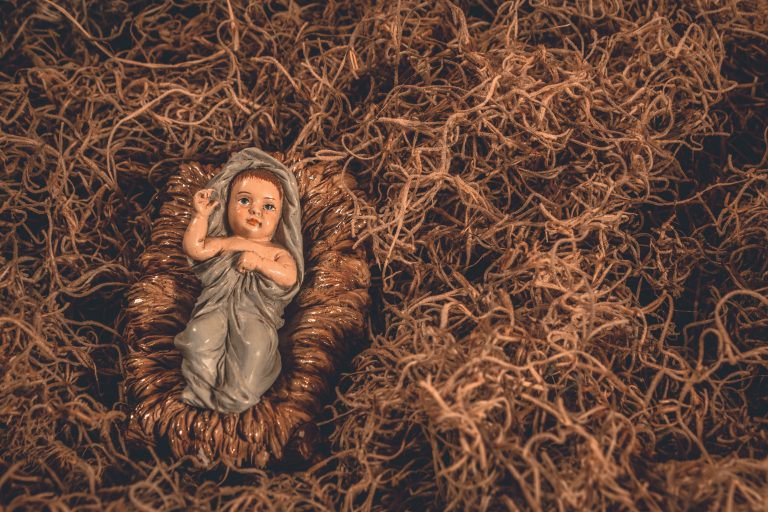 Mary was a surrogate mother; Jesus was a radical