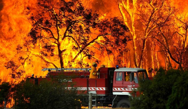 Planeta se încinge, incendiile de vegetație se „globalizează”