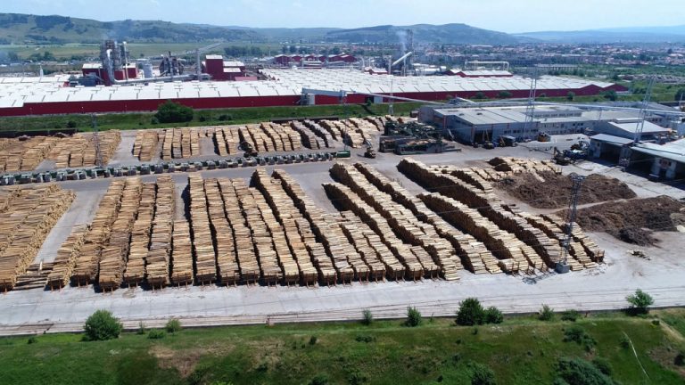 Rise Project: Filiera Schweighofer, blocată în port