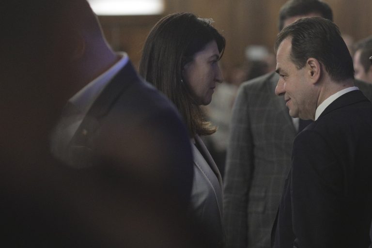 Violeta Alexandru: Standardizăm şi schimbăm comisioane, termene de plată şi livrare a pensiilor