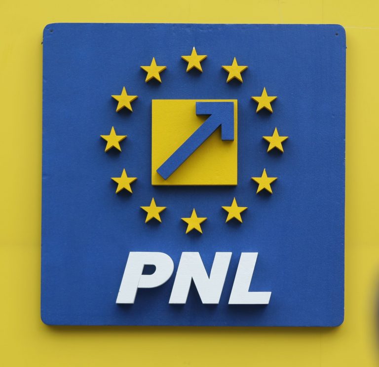 Liberalii se reunesc din nou în şedinţă pentru finalizarea listelor la alegerile parlamentare