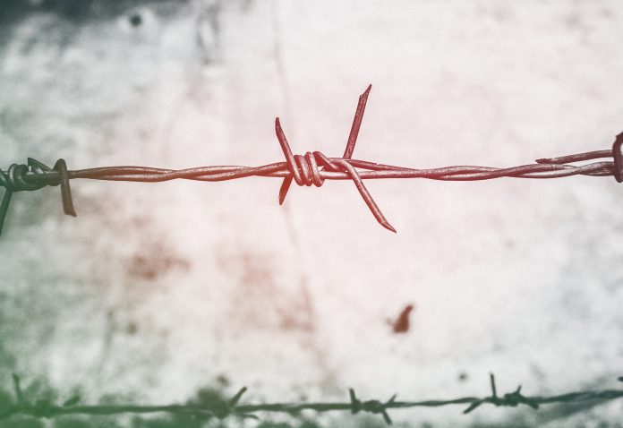 Un georgian beat a intrat ilegal din Ucraina în România