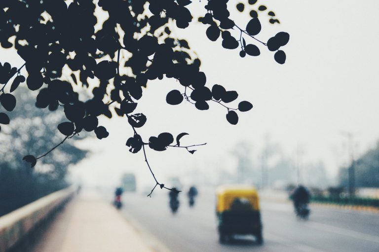 Fog envelops most of Romania, reduced visibility on roads, flights disrupted