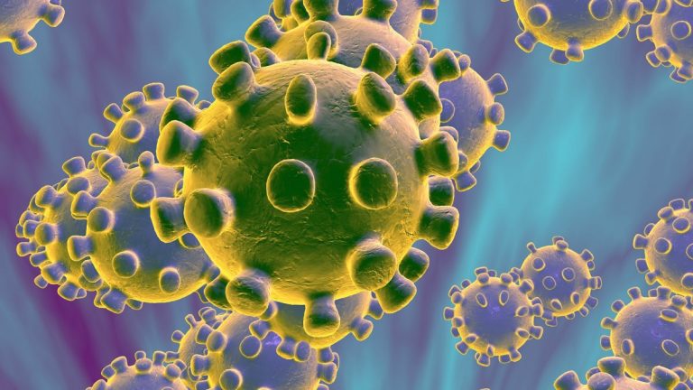 OMS îndeamnă la precauție în legătură cu incubația de 24 de zile a coronavirusului, teorie lansată de un epidemiolog chinez
