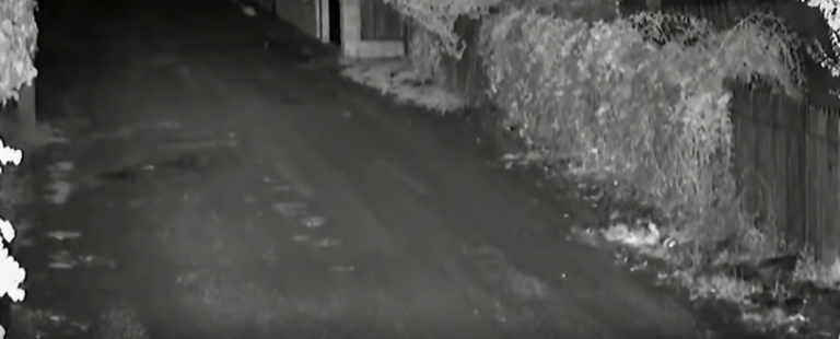 VIDEO. Imagini din timpul cutremurului de 5,2 pe scara Richter, filmate în județul Bacău