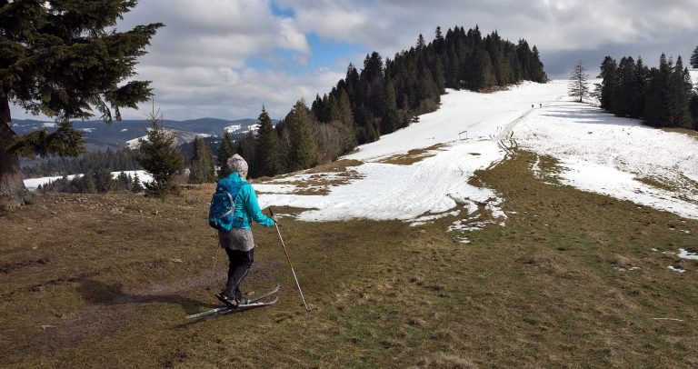 Organizaţia Mondială a Meteorologiei, verdict alarmant: 2019, al doilea cel mai cald an din istoria măsurătorilor