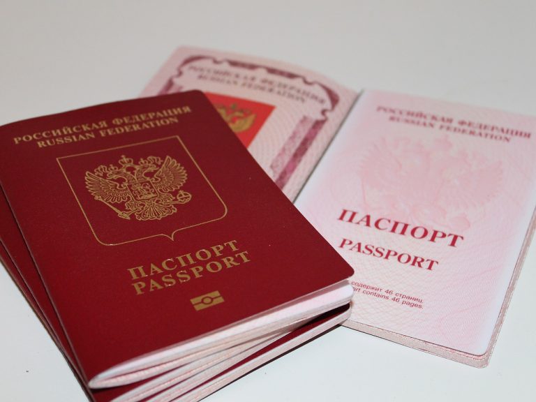 Czech President considers Russian expats should be monitored