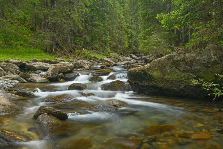 WWF says Romania’s rivers face pollution, destruction, gov’t not doing enough
