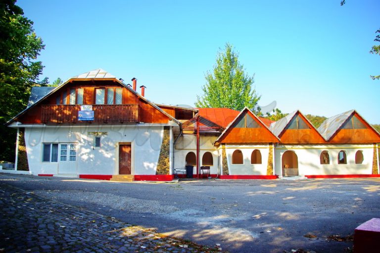 Tabăra de la Arbănași, improprie  suspecţilor de coronavirus, avertizează șefa Gărzii de Mediu Buzău