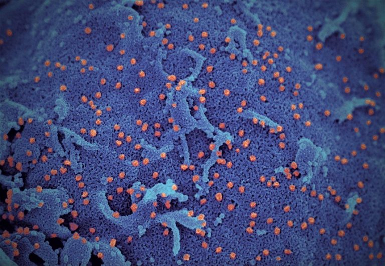 Laboratorul chinez care a publicat codul genetic al Covid-19, închis imediat