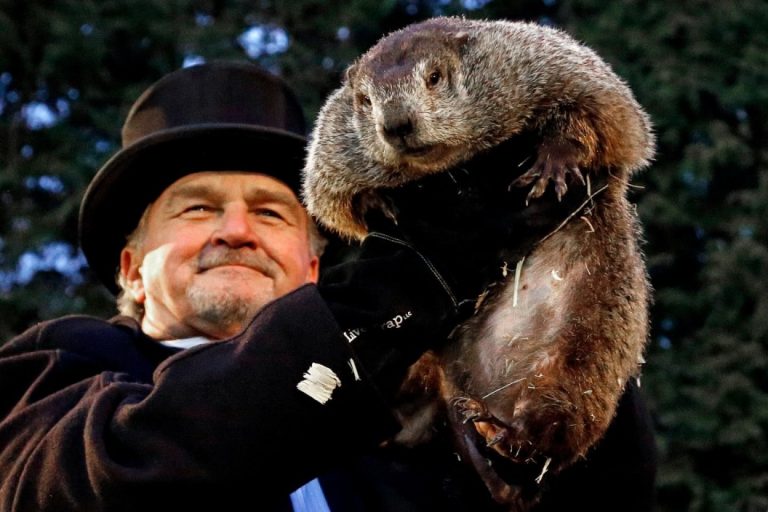 SUA: Marmota Phil a prezis că primăvara va veni devreme