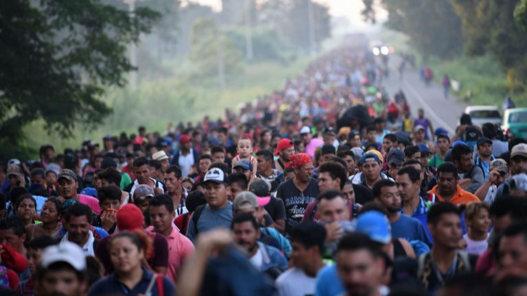 Un grup numeros de migranţi încearcă să treacă graniţa ungară dinspre Serbia
