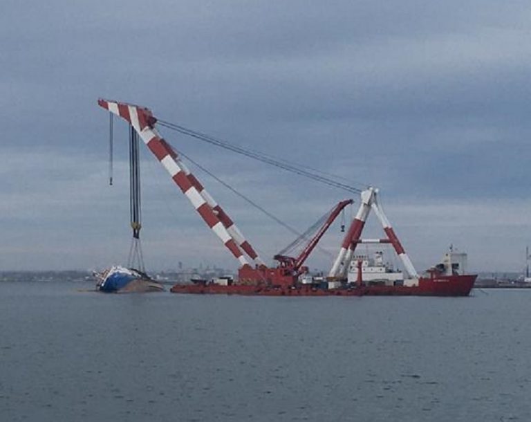 Ship carrying 14,600 sheep that capsized raised from Black Sea after three months