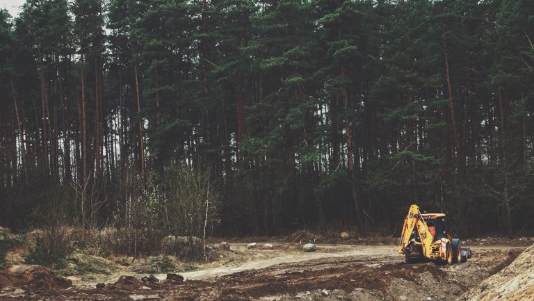 European Commission gives Romania one month to tackle illegal logging