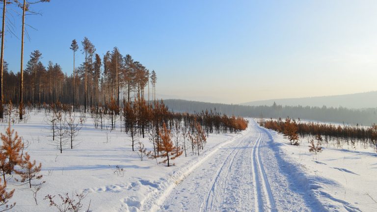 Rusia: Carantină în Siberia pentru persoanele evacuate din China