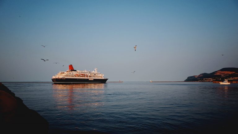 Ce au descoperit autoritățile japoneze la bordul navei de croazieră cu mii de persoane aflate în carantină