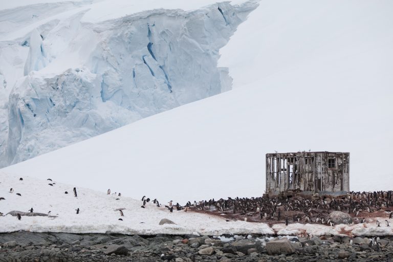 Evoluții alarmante: Temperatură record de peste 20 de grade Celsius în Antarctica