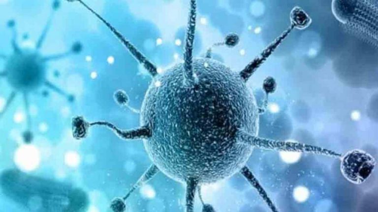Alertă în China: Un alt virus letal, asemănător cu coronavirusul, a omorât un om. Alţi 32 sunt suspecţi de infecţie cu hantavirus