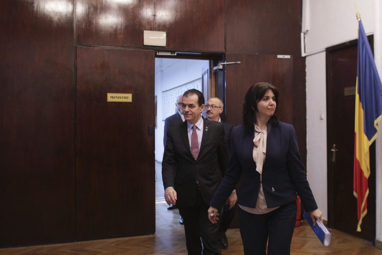 Anisie: Guvernul pregătește o OUG pentru învățământul online