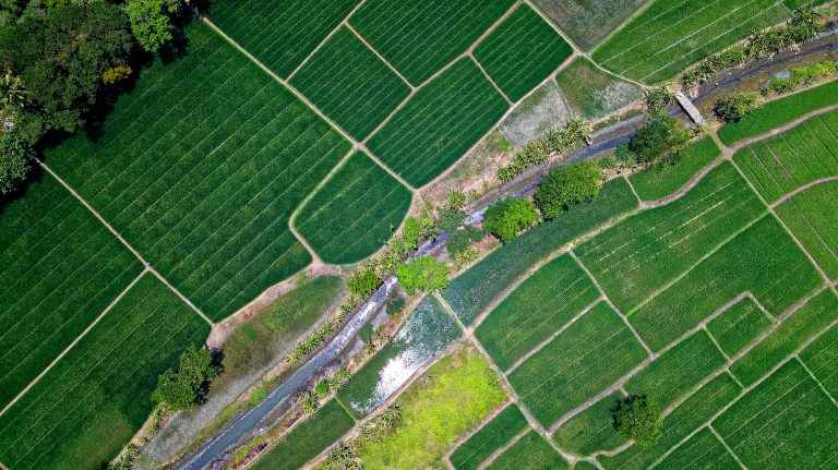 Making Agriculture Work. Romania plans to invest 6 billion euros of EU funds in irrigation, soil erosion and drainage