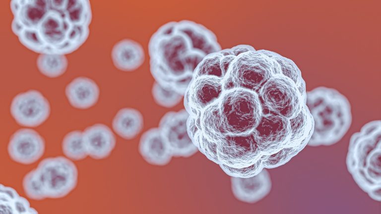 Cercetători din Timișoara, ținta unui posibil furt intelectual. China și-ar fi însușit fără aprobare din România tehnologia de producere a unui vaccin