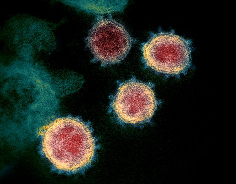 OMS, noi date despre varianta Omicron: Este mai virulentă decât varianta Delta, mai rezistentă la actualele vaccinuri, dar produce efecte mai ușoare