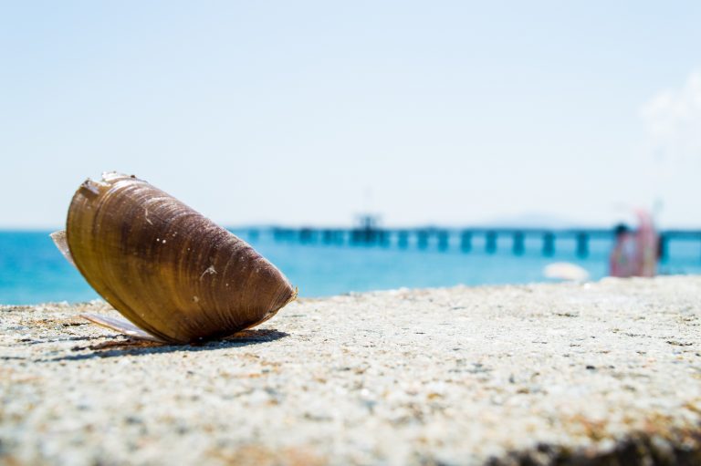 În ciuda pandemiei, Bulgaria intenţionează să deschidă sezonul turistic estival la 1 iulie